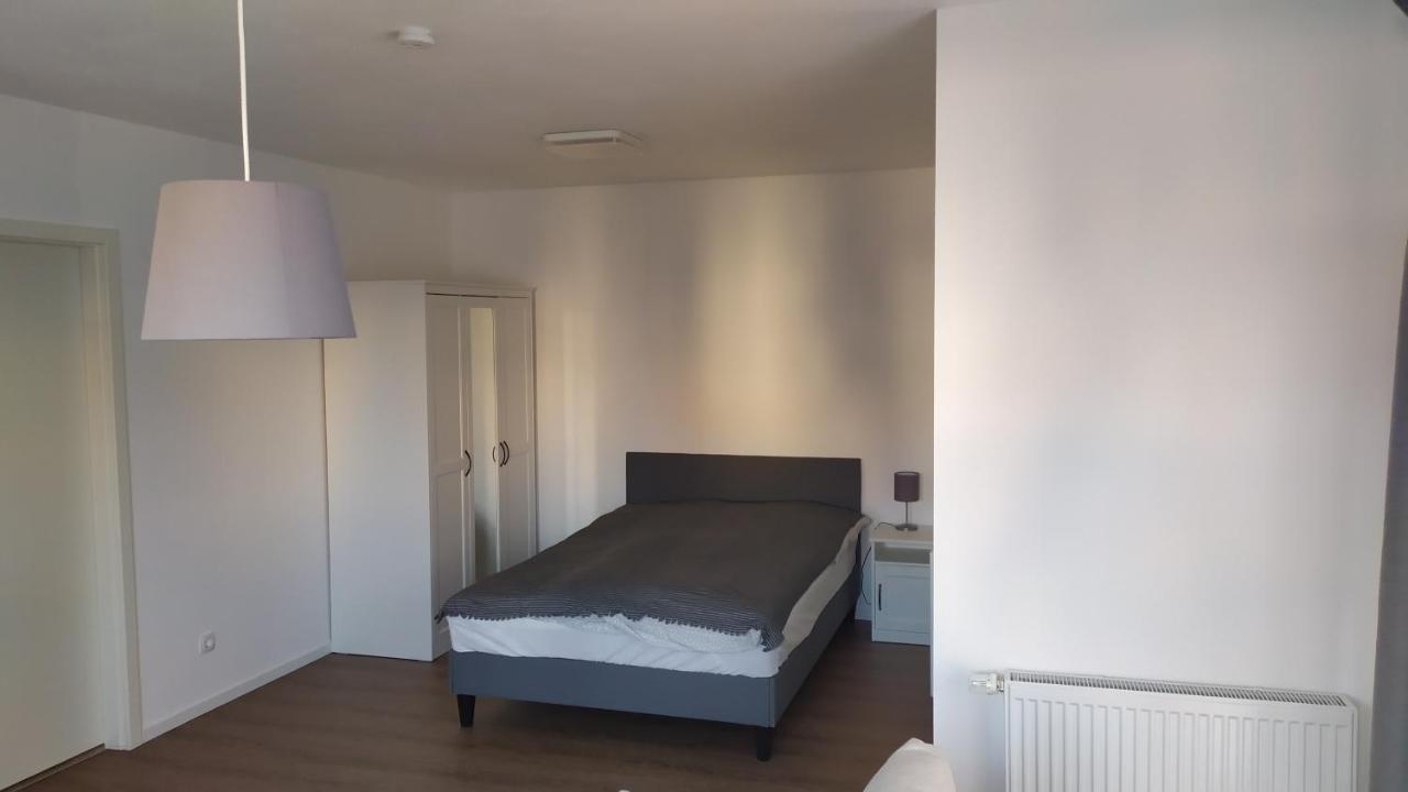 4* Ferienwohnung Neukirchen Im Erzgebirge Adorf/Erzgeb エクステリア 写真